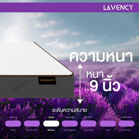 ที่นอน HI-DENSITY ORGANIC OPEN CELL BASE รุ่น LAVENCY หนา 9 นิ้ว