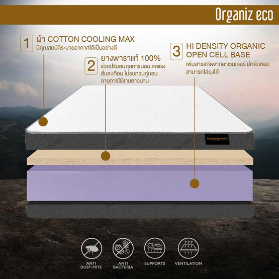 ที่นอนยางพาราแท้ 100% ธรรมชาติ HI-DENSITY ORGANIC BASE รุ่น ORGANIZ ECO หนา 5 นิ้ว