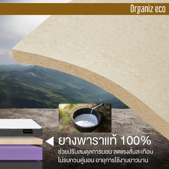 ที่นอนยางพาราแท้ 100% ธรรมชาติ HI-DENSITY ORGANIC BASE รุ่น ORGANIZ ECO หนา 5 นิ้ว