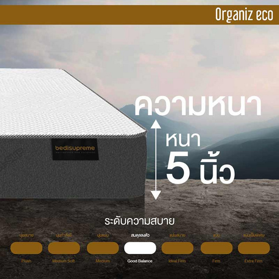 ที่นอนยางพาราแท้ 100% ธรรมชาติ HI-DENSITY ORGANIC BASE รุ่น ORGANIZ ECO หนา 5 นิ้ว