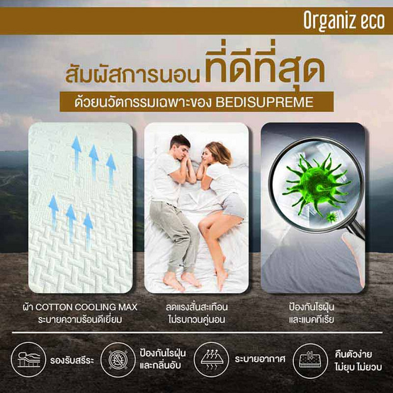 ที่นอนยางพาราแท้ 100% ธรรมชาติ HI-DENSITY ORGANIC BASE รุ่น ORGANIZ ECO หนา 5 นิ้ว