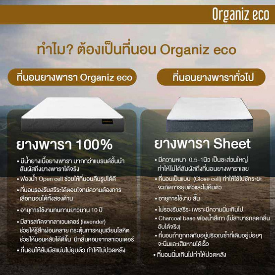 ที่นอนยางพาราแท้ 100% ธรรมชาติ HI-DENSITY ORGANIC BASE รุ่น ORGANIZ ECO หนา 5 นิ้ว