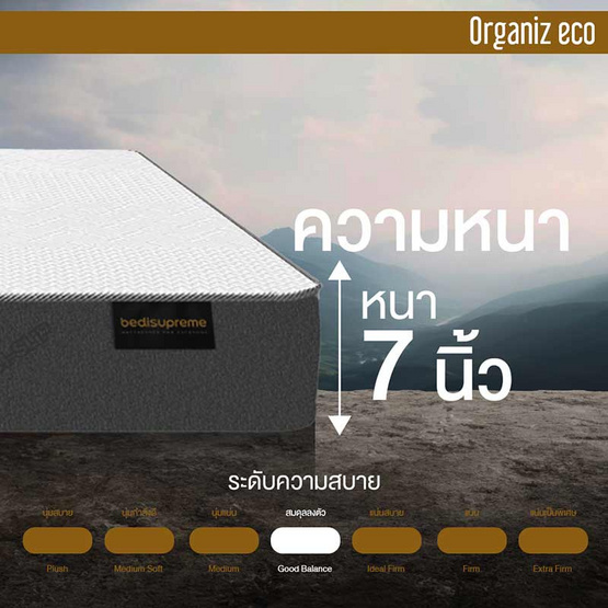 ที่นอนยางพาราแท้ 100% ธรรมชาติ HI-DENSITY ORGANIC BASE รุ่น ORGANIZ ECO หนา 7 นิ้ว