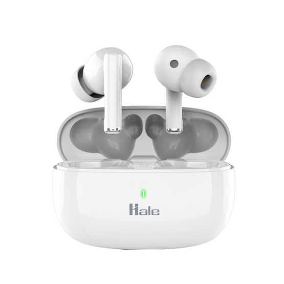 HALE HTW-09 CERES True Wireless