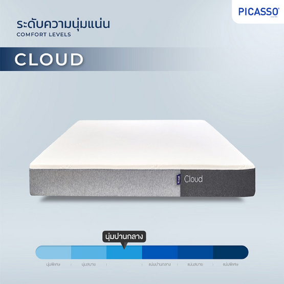 Picasso ที่นอน Hybrid Foam รุ่น CLOUD หนา 10 นิ้ว