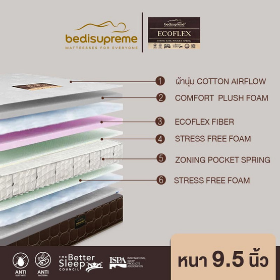 Bedisupreme ที่นอน Zoning พ็อคเก็ตสปริง เสริมด้วย Comfort Foam รุ่น ECOFLEX หนา 9.5 นิ้ว