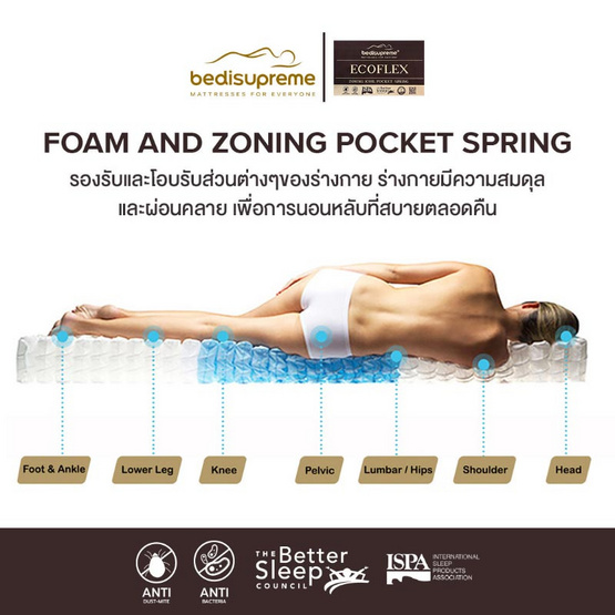 Bedisupreme ที่นอน Zoning พ็อคเก็ตสปริง เสริมด้วย Comfort Foam รุ่น ECOFLEX หนา 9.5 นิ้ว