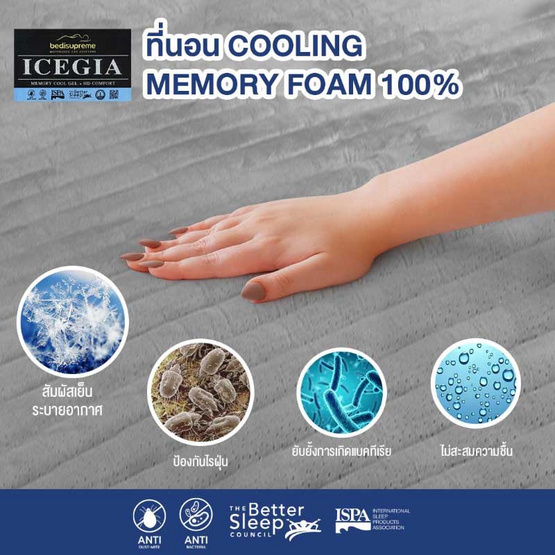 Bedisupremeที่นอน COOLING MEMORY FOAM หุ้มผ้า Cotton Velour กันไรฝุ่น รุ่นICEGIA หนา9นิ้ว