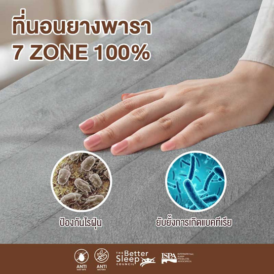 Bedisupreme ที่นอนยางพาราแท้100% แบบฉีด 7Zone หุ้มผ้า Cotton Velour รุ่น RESTA หนา 7 นิ้ว