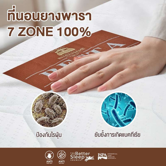 Bedisupreme ที่นอนยางพาราแท้ แบบฉีด 7Zone หุ้มผ้านอก กันไรฝุ่น รุ่น RESTA หนา 6.5 นิ้ว