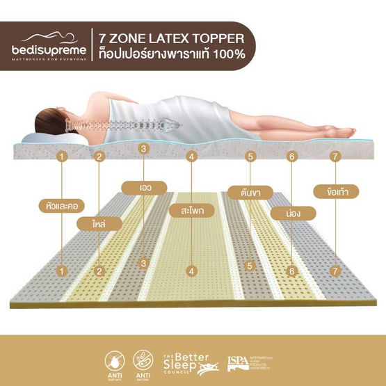 Bedisupreme ท็อปเปอร์ยางพาราแท้ แบบฉีดขึ้นรูป 7ZONE ผ้านอก กันไรฝุ่น หนา 4 นิ้ว