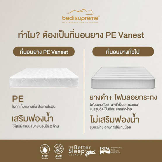 Bedisupreme ที่นอนยางPE หุ้มผ้านอกสีขาว รุ่น Vanest หนา 8 นิ้ว