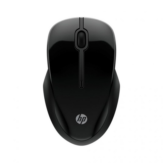 HP เมาส์ไร้สาย 250 Dual