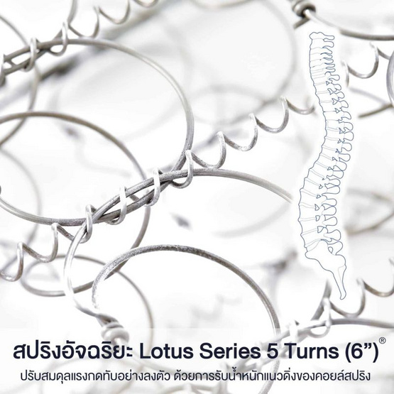 LOTUS ที่นอน รุ่น NAUTILUS