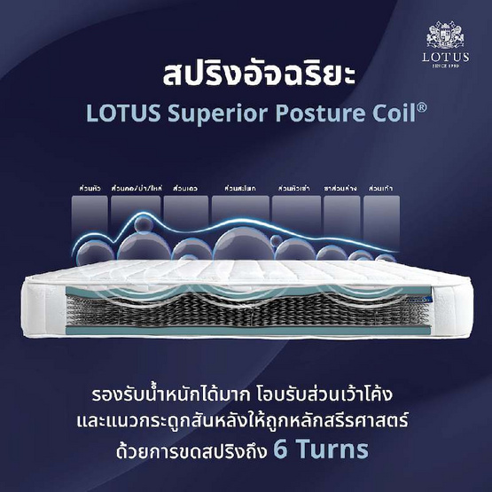 LOTUS ที่นอน รุ่น NORTHLIGHT I