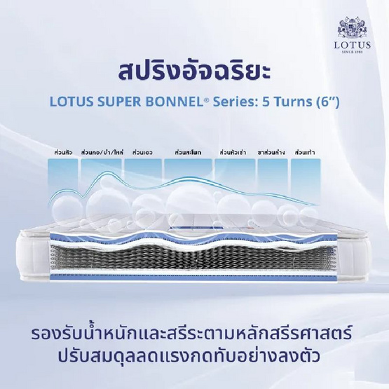 LOTUS ที่นอน รุ่น NORTHLIGHT II