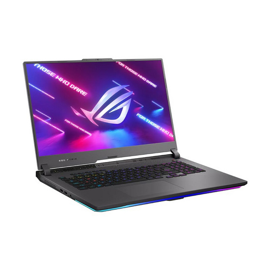 Asus โน๊ตบุ๊คเกม ROG Strix G17 G713PI-LL109W (G713PI-LL109W)