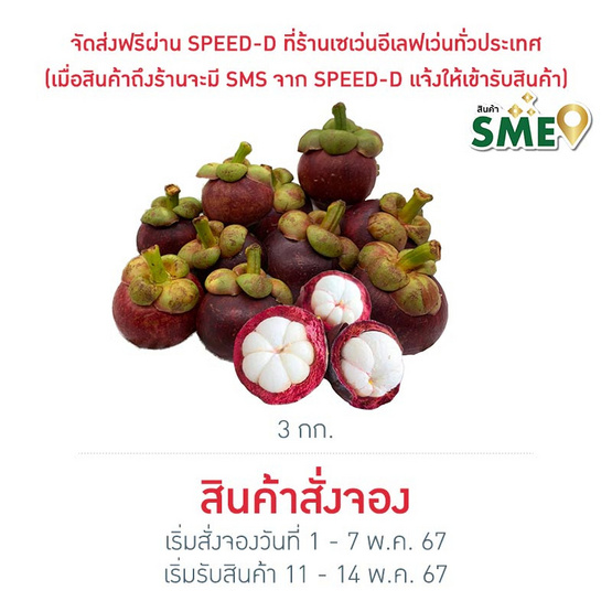 มังคุดคละไซส์ กล่อง 3 กก. สวนน้องคิม จ.จันทบุรี มังคุดคละไซส์ กล่อง 3 กก. สวนน้องคิม จ.จันทบุรี