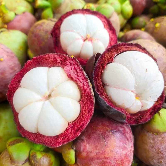 มังคุดคละไซส์ กล่อง 3 กก. สวนน้องคิม จ.จันทบุรี มังคุดคละไซส์ กล่อง 3 กก. สวนน้องคิม จ.จันทบุรี