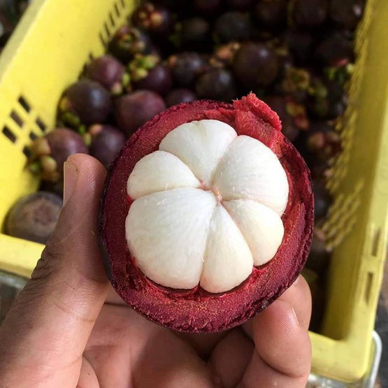 มังคุดคละไซส์ กล่อง 3 กก. สวนน้องคิม จ.จันทบุรี มังคุดคละไซส์ กล่อง 3 กก. สวนน้องคิม จ.จันทบุรี