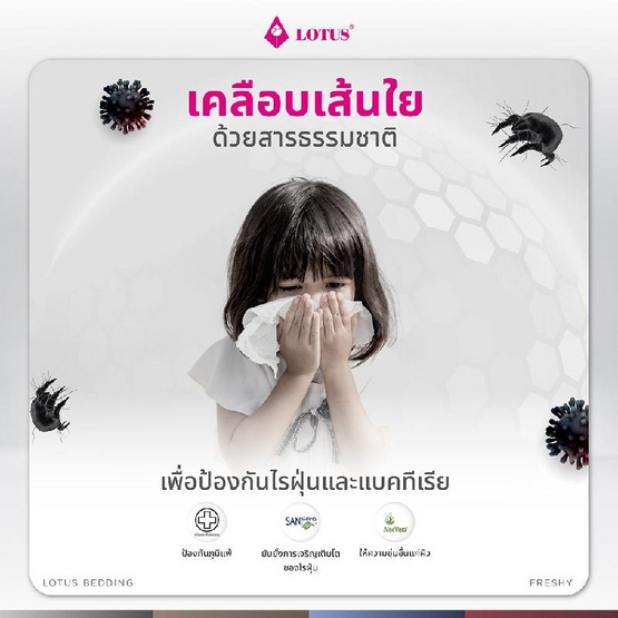 Lotus หมอนข้างใยสังเคราะห์ Freshy Chocolate