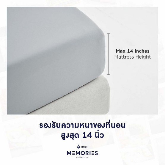 LOTUS ชุดผ้าปูที่นอนพร้อมผ้านวม รุ่น MEMORIES : LT-MEM-063