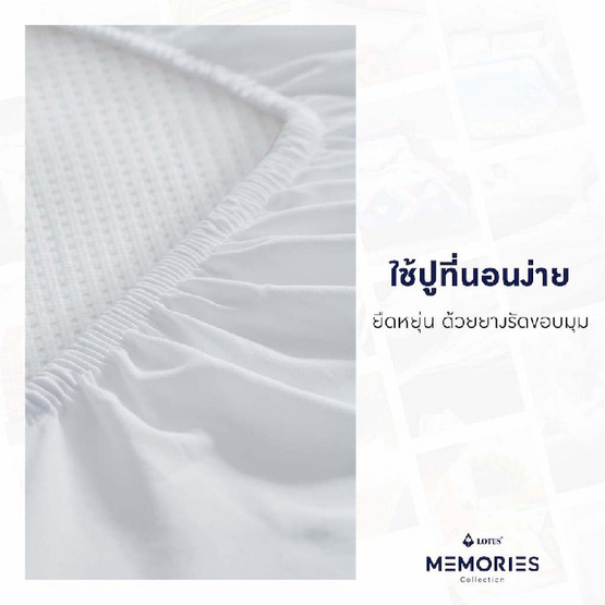 LOTUS ชุดผ้าปูที่นอนพร้อมผ้านวม รุ่น MEMORIES : LT-MEM-063