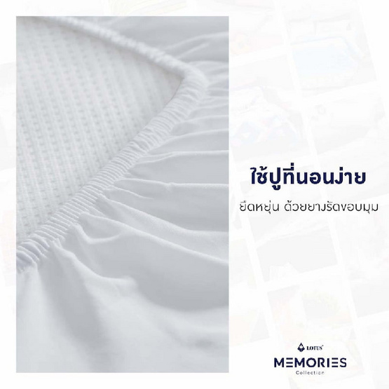 LOTUS ชุดผ้าปูที่นอน รุ่น MEMORIES : LT-MEM-013A