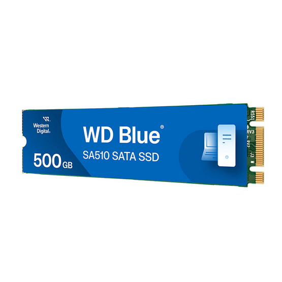 WD SSD M.2 SATA 2280 รุ่น Blue SA510 500GB