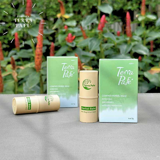 Terra Pafe Comfrey Herbal Balm เทอร่า พาเฟ่ บาล์มสมุนไพร 7 กรัม