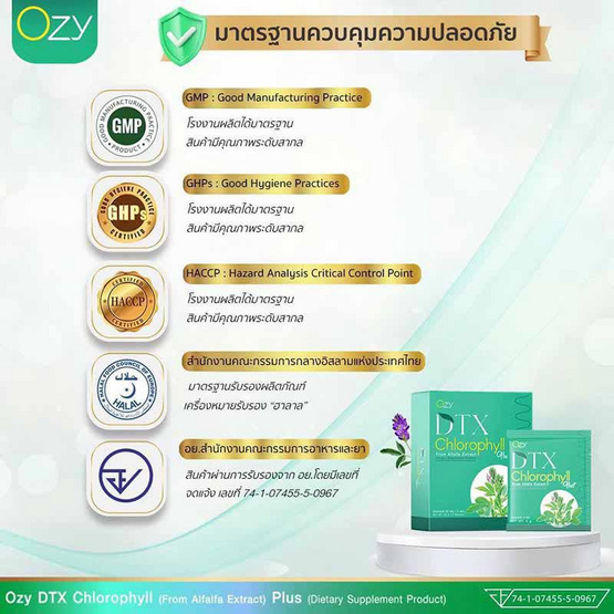 Ozy ดีทีเอ็กซ์ คลอโรฟิลล์ พลัส 5 ซอง/กล่อง (แพ็ก 6 กล่อง)