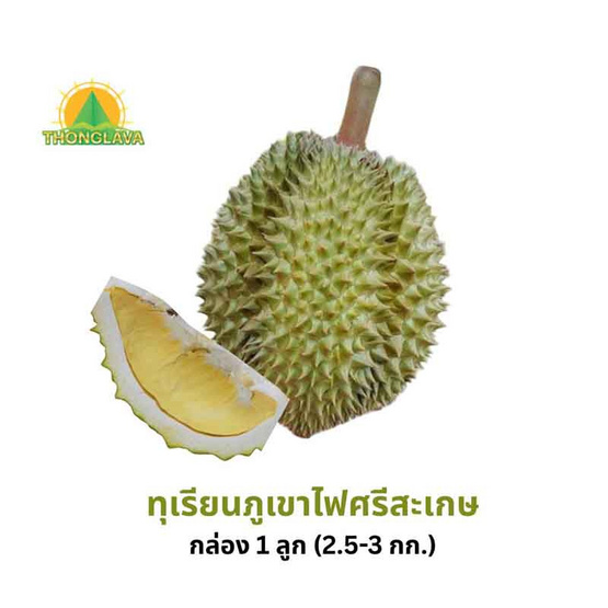 ทุเรียนภูเขาไฟศรีสะเกษหมอนทอง 1 ลูก (2.5-3 กก.) ทองลาวา จ.ศรีสะเกษ ทุเรียนภูเขาไฟศรีสะเกษหมอนทอง 1 ลูก (2.5-3 กก.) ทองลาวา จ.ศรีสะเกษ