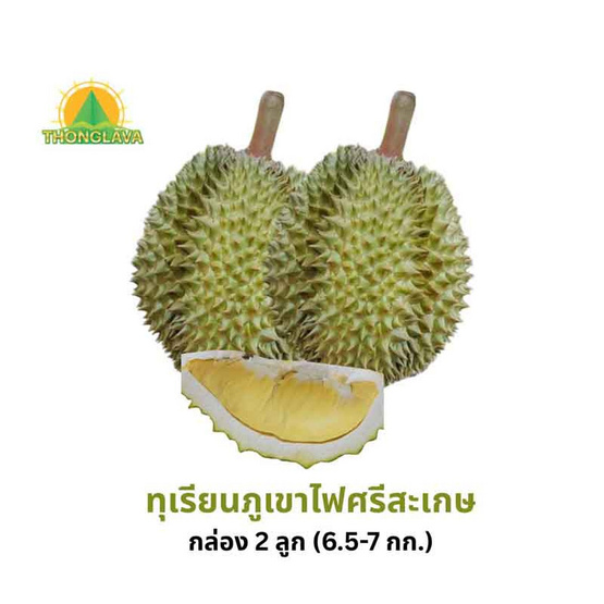 ทุเรียนภูเขาไฟศรีสะเกษหมอนทอง 2 ลูก (6.5-7 กก.) ทองลาวา จ.ศรีสะเกษ ทุเรียนภูเขาไฟศรีสะเกษหมอนทอง 2 ลูก (6.5-7 กก.) ทองลาวา จ.ศรีสะเกษ