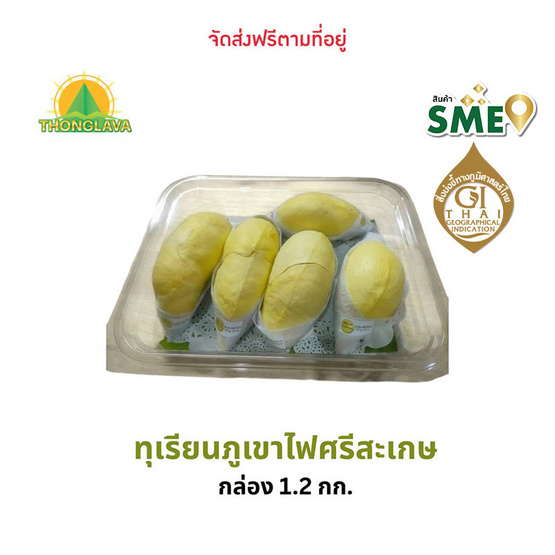 ทุเรียนภูเขาไฟศรีสะเกษแกะเนื้อ 1.2 กก. ทองลาวา จ.ศรีสะเกษ ทุเรียนภูเขาไฟศรีสะเกษแกะเนื้อ 1.2 กก. ทองลาวา จ.ศรีสะเกษ