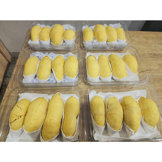 ทุเรียนภูเขาไฟศรีสะเกษแกะเนื้อ 1.2 กก. ทองลาวา จ.ศรีสะเกษ ทุเรียนภูเขาไฟศรีสะเกษแกะเนื้อ 1.2 กก. ทองลาวา จ.ศรีสะเกษ