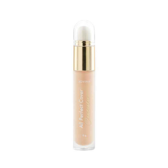 Jovina คอนซีลเลอร์ All Perfect Cover Concealer 6 กรัม