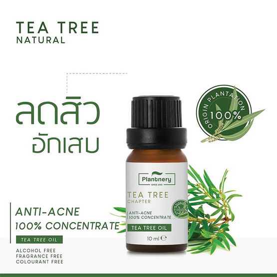 Plantnery น้ำมันทีทรีเข้มข้น Tea Tree Oil Acne Spot 10มล.