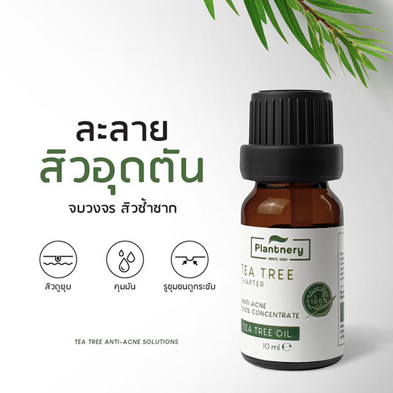 Plantnery น้ำมันทีทรีเข้มข้น Tea Tree Oil Acne Spot 10มล.