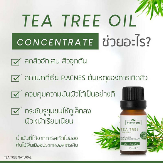 Plantnery น้ำมันทีทรีเข้มข้น Tea Tree Oil Acne Spot 10มล.