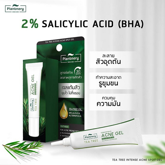 Plantnery เจลแต้มสิวสูตรเร่งด่วน Tea Tree Intense Acne Spot Gel 15 กรัม