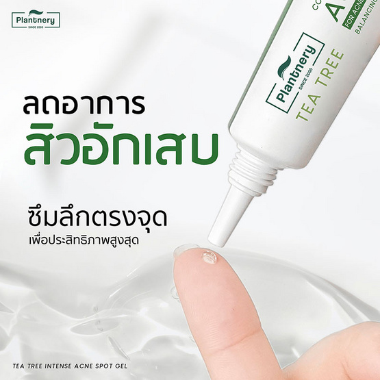 Plantnery เจลแต้มสิวสูตรเร่งด่วน Tea Tree Intense Acne Spot Gel 15 กรัม