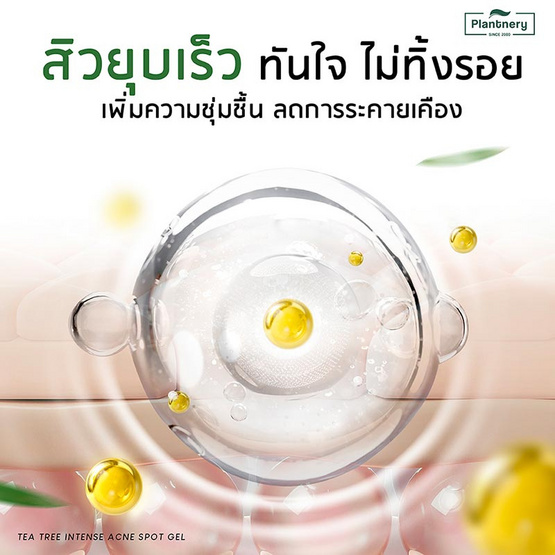 Plantnery เจลแต้มสิวสูตรเร่งด่วน Tea Tree Intense Acne Spot Gel 15 กรัม