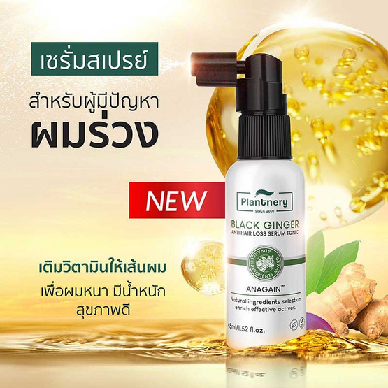 Plantnery เซรั่มบำรุงเส้นผมและหนังศีรษะ Black Ginger Anti-Hair Loss Serum Tonic 45มล.