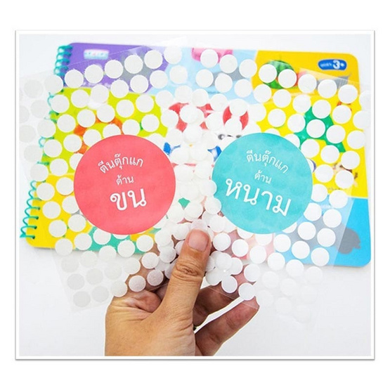 หนังสือ Pull And Stick 150 Pieces Shadow Matching ภาพเงา Sticker 150 Pieces