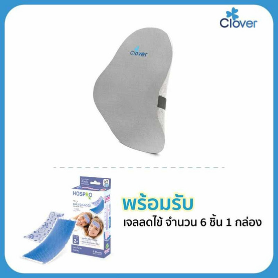 Clover Mango-shape Lumbar Support เบาะรองหลัง รุ่น C-EGB271