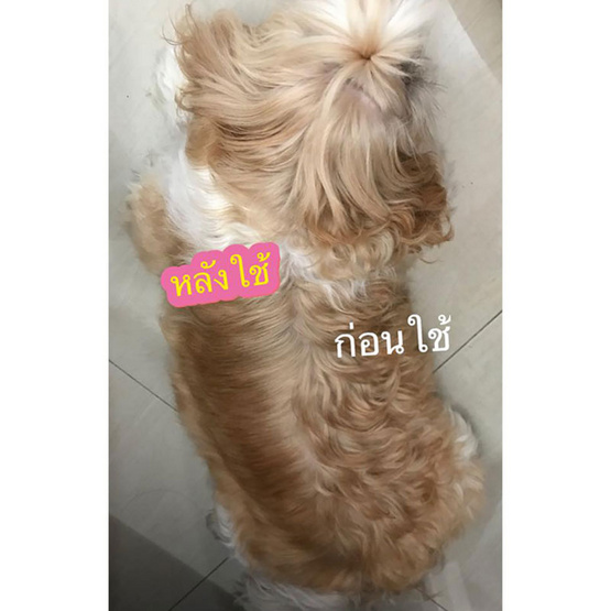 Doggydolly ซิลกี้ บำรุงขน สุนัขและแมว วิตามิน Silky PS001-85 มล.