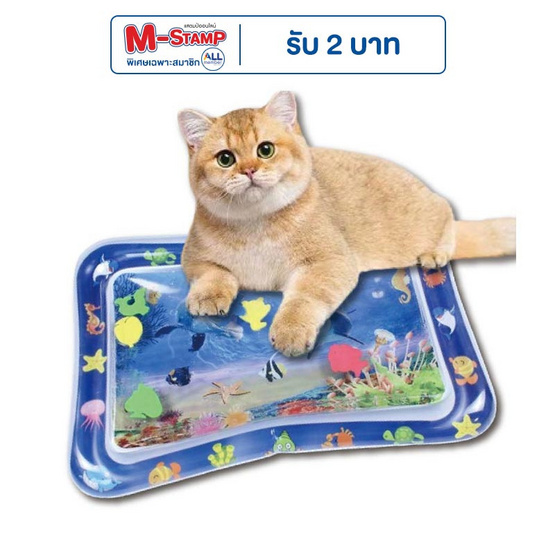 CCPetsเสื่อน้ำสัตว์เลี้ยงลายโลมาPM40003N CCPetsเสื่อน้ำสัตว์เลี้ยงลายโลมาPM40003N