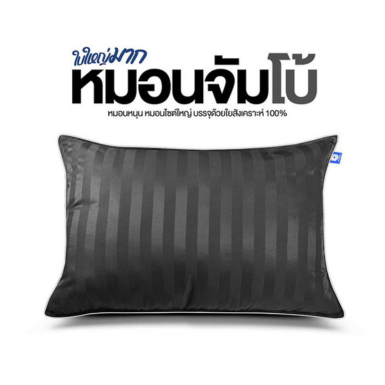 DD Bedding หมอนหนุนจัมโบ้ รุ่น Combo 24x34 ริ้วเทา