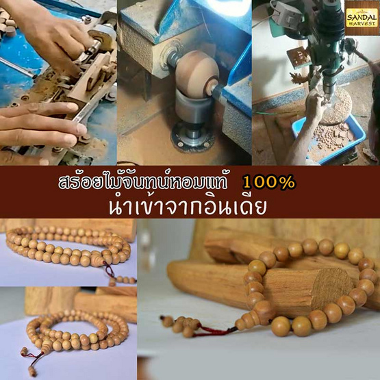 SandalHarvest สร้อยไม้หอม สร้อยข้อมือ สร้อยไม้จันทน์แท้ ลูกประคำ ( 21 เม็ด ขนาด 8 มม. )