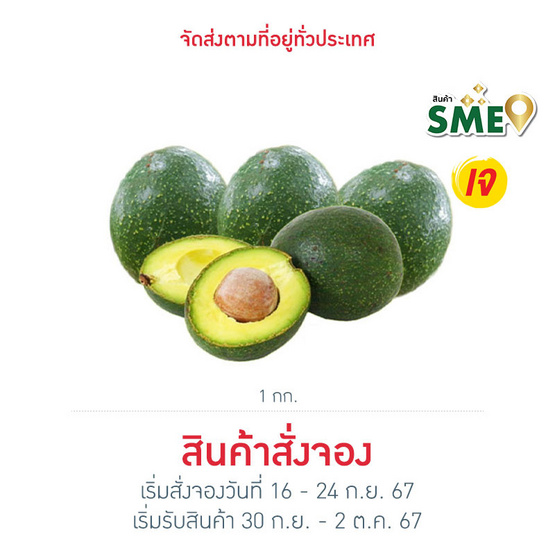 ไร่ชรินทร์พรรณ อะโวคาโด พันธุ์บูท 7 ไซส์ 3-5 ลูก/กก.